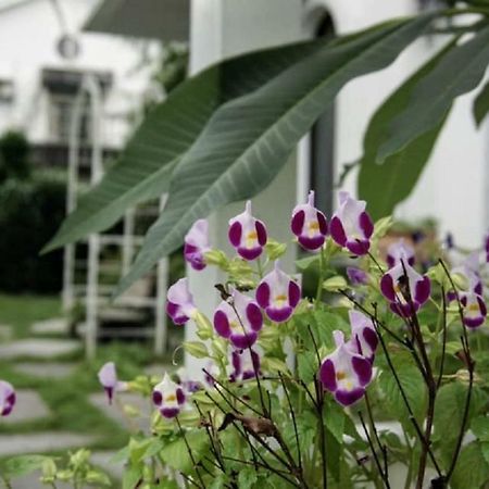 Hasayaki Homestay Sanxing Luaran gambar