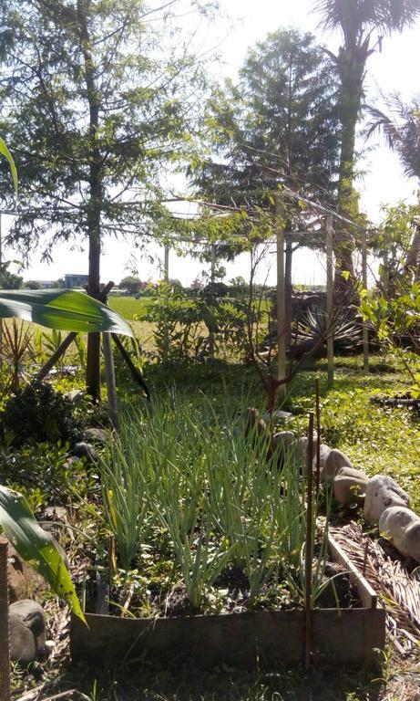Hasayaki Homestay Sanxing Luaran gambar